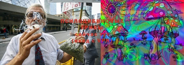 винт Баксан