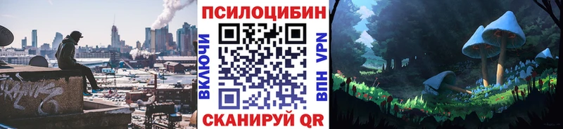 Псилоцибиновые грибы мицелий  купить наркотики цена  Болохово 